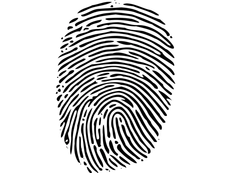 Kimlik Bildirim Programı 2016